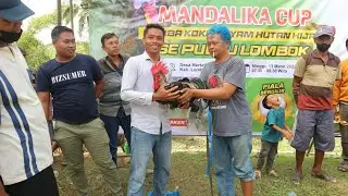 MANDALIKA CUP Keseruan Lomba AHH Ayam Hutan Hijau saat pengundian Dorprais Part ll
