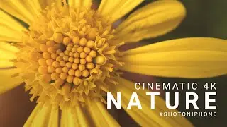 Shot on iPhone - Nature at Home - SANDMARC Macro