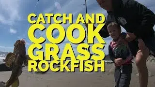 Catch and Cook - Grass Rockfish Cooked On The Beach (2018)