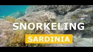 I posti più belli dove fare #snorkeling in #sardegna, Torre dei Corsari.