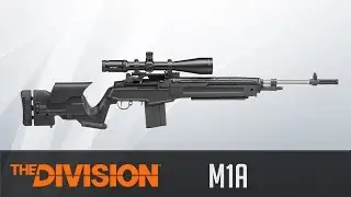 The Division - M1A Weapon Guide (Statistics, Variants and Class Set-Up)