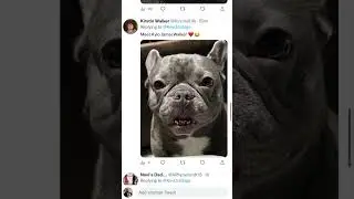 Black folks LOVE to give their pet a middle name!