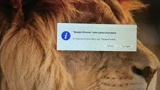 Google Chrome interrupted Shutdown MacBook Air