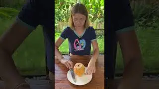 Карликовый кокос🙈🥥 