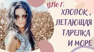 Хлопковые поля, новостройки Израиля, морюшко. Влог.