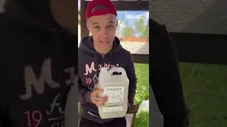 Возвращение блудного Бати😅
