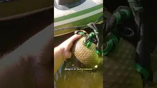 ДЕЛАЮ сам такую НАСАДКУ и без улова не остаюсь! #рыболовная #рыбалка