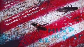 Laidback -  Launch The Raunch (Dub)