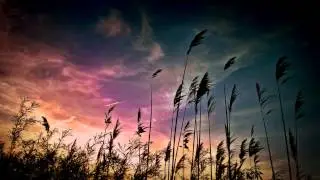 Flowen - Closure