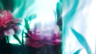 Commix - Envy