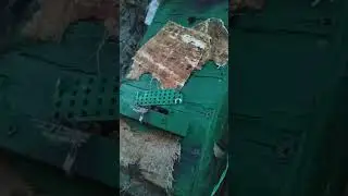 Ловушка с болота.