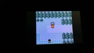 Pokémon gold let’s play: episode 1