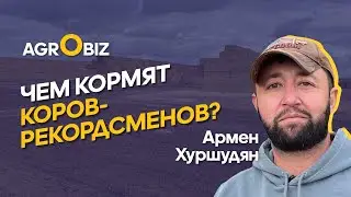 Лидер по надоям молока в Казахстане: рацион КРС, орошение и автоматизация фермы | ТОО АЙС