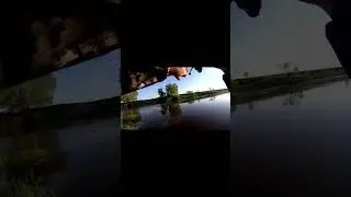 Шикарная поклевка СОМА на спиннинг при ловле голавля на перекате.  #рыбалка #fishing