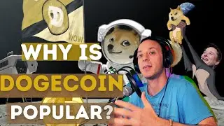 Why Is Dogecoin So Popular: Explained (Price Prediction)