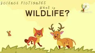 WHAT IS WILD LIFE? -WILD ANIMALS FOR KIDS -ANIMAS FOR KIDS