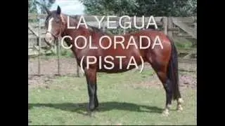 LA YEGUA COLORADA (SOLO PISTA)