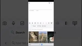 How to use Bing search in Swift Keyboard? 