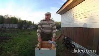 Can You Paint a Beehive While the Bees Are Inside?