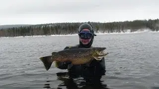 Мончегорск  Охота на кумжу Подводная охота Александр Кочубей