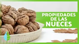 Benefits of Walnuts 🥜 ​​(Medicinal Properties, How to Eat Them and Contraindications)