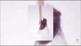 pusy fly