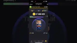 Hamster combat обман!!!