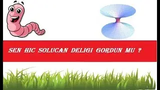 Solucan Delikleri Basit Olarak Nedir ?