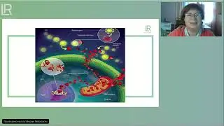 📹 Сдаем жизненные экзамены с Супер Мозгом. Обзор набора.
