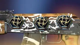 [AK-47 | Wasteland Rebel] Sticker Combinations - CSGO 2023
