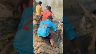 গ্রামের বাড়িতে মাছ ধরার আনন্দ😌