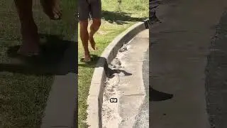 Este truco para aparcar es genial (pero no lo intentes) 