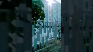 56 школе только 1 год
