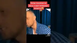 Зубарев и кот