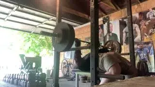 Garage gym bench blokz 20 rep fail (355x19)