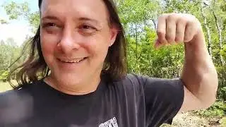 homestead -  cutting down my favorite tree