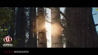 Unreal Engine 4.18 -  A Walk in the Forest