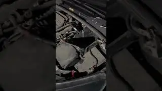Помогите, что мне делать?? 
