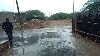समय से पहले मावठ का आगमन बनी मुसीबत । पश्चिमी राजस्थान में 24 घंटे से लगातार बारिश ।। #barmer 🌧️☔