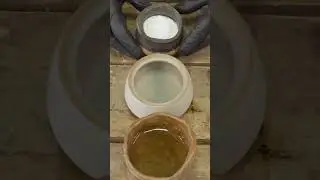 Getting Slippery with Ancient Lubricants!