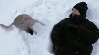 Danila Kozlovsky walks with a dog