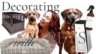 Pet Friendly, Kid Friendly Decor  | Membrane Solutions Air Purifier