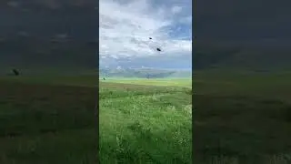 Красота и умиротворение!