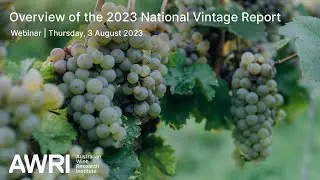 Overview of the 2023 National Vintage Report