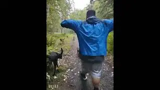 hiking with 5 dogs