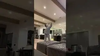 Dixie damelio’s newest TikTok