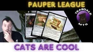 Cat food- Attempt two at the deck in Pauper