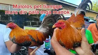MURA DIN PALA MANOK SA MALOLOS TIANGGEAN#MALOLOSPETMARKET#BAKWITTV