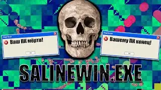 Salinewin.exe на Windows 7