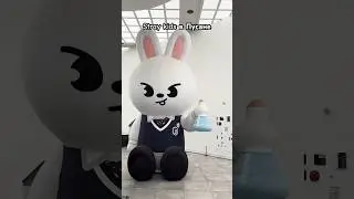 Лучшее место для фанатов Stray Kids  #корея #kpop #straykids #korea #fans #фанатам